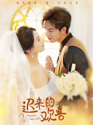 迟来的欢喜（81集）复仇归来