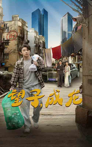 望子成龙（60集）无广告免费看