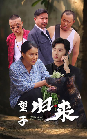 望子归来（50集）悬疑