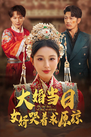 大婚当日,女婿哭着求原谅(31集) 大婚当日,女婿哭着求原谅(31集)已完结