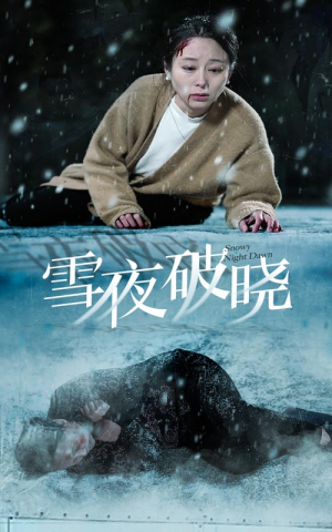 雪夜破晓(36集) 雪夜破晓(36集)豪门