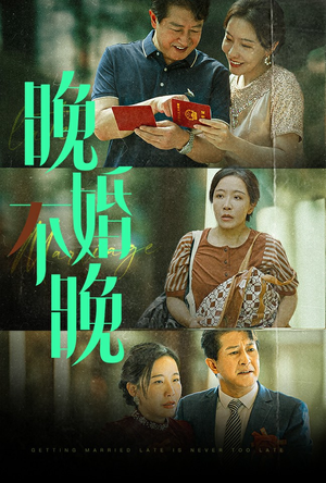 晚婚不晚(30集) 晚婚不晚(30集)大结局