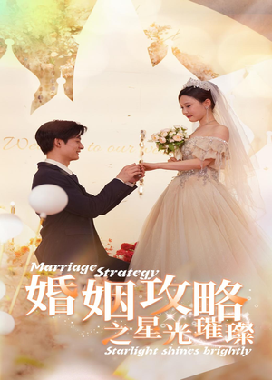 婚姻攻略之星光璀璨(32集) 婚姻攻略之星光璀璨(32集)大结局在线观看