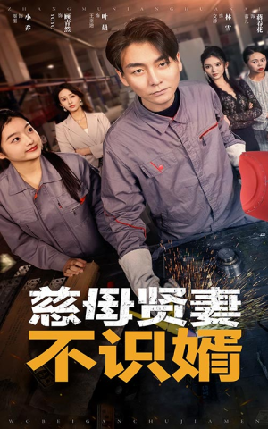 慈母贤妻不识婿（45集）封神片段