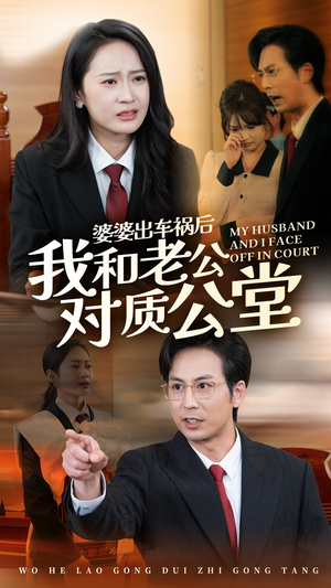 婆婆出车祸后我和老公对质公堂（35集）权谋