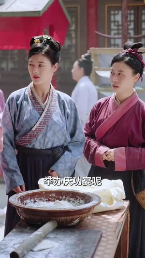 和离后女将军她杀红了眼(50集) 和离后女将军她杀红了眼(50集)全集