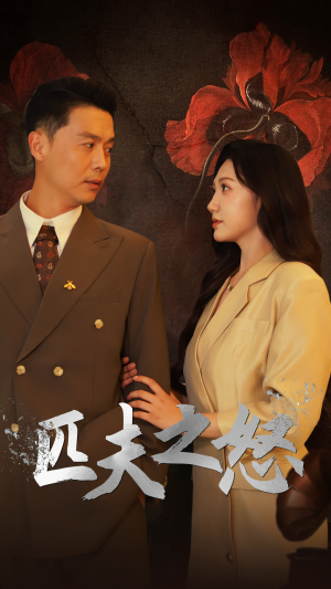 匹夫之怒(48集) 匹夫之怒(48集)年度爆款短剧