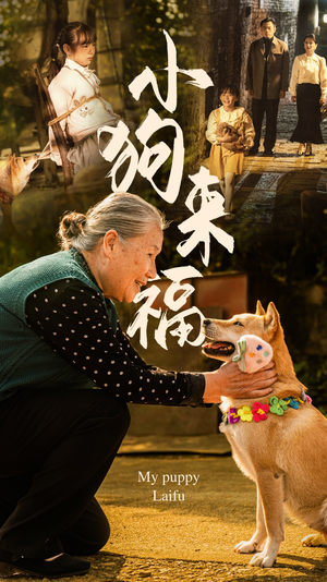 小狗来福（30集）绝世高手