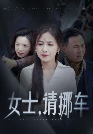 女士请挪车&善门难开(29集) 女士请挪车&善门难开(29集)太惊艳了