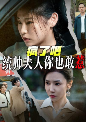 疯了吧统帅夫人你也敢惹（33集）良心制作