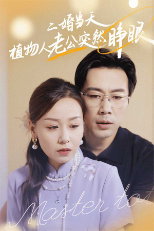 二婚当天植物人老公突然睁眼(40集) 二婚当天植物人老公突然睁眼(40集)免费短剧