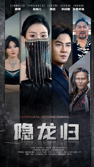 隐龙归(80集) 隐龙归(80集)微综艺短剧