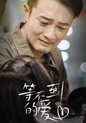 等不到的爱(40集) 等不到的爱(40集)哪里看全集