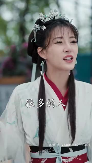 穿越王妃想和离（89集）扮猪吃虎