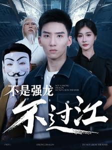 不是强龙不过江(98集) 不是强龙不过江(98集)蓝光画质