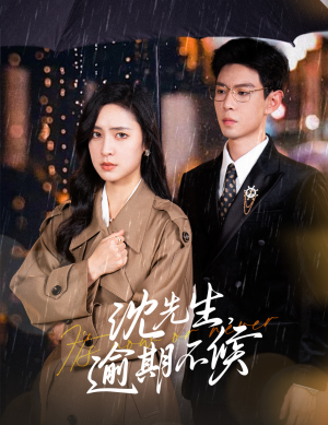 沈先生，逾期不候（75集）观众评价