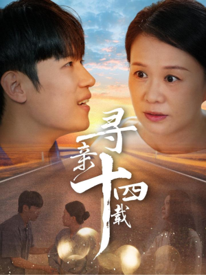 寻亲十四载(50集) 寻亲十四载(50集)大结局
