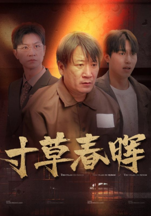 寸草春晖(31集) 寸草春晖(31集)跨年档短剧