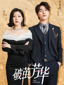 破茧芳华(80集) 破茧芳华(80集)全网热议