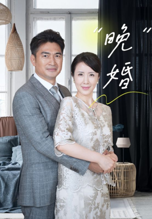 晚婚(65集) 晚婚(65集)扶弟魔