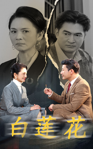 白莲花(40集) 白莲花(40集)1-100集
