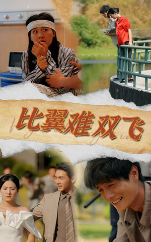 比翼难双飞(30集) 比翼难双飞(30集)哭戏担当