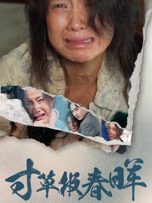 寸草报春晖(65集) 寸草报春晖(65集)快手平台播放量破15亿