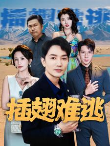 插翅难逃(43集) 插翅难逃(43集)打脸名场面