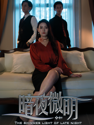 暗夜微明(70集) 暗夜微明(70集)全网累计上热搜次数破百