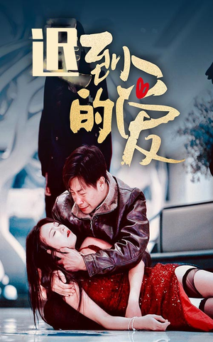 迟到的爱(35集) 迟到的爱(35集)多设备同步观看进度
