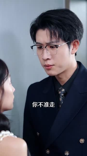 爱你蓄谋已久（100集）解说