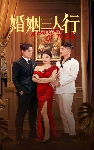 婚姻三人行(31集) 婚姻三人行(31集)爽点密集