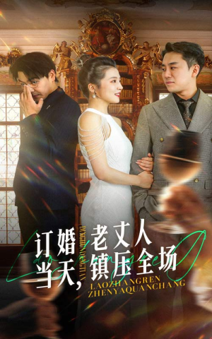 订婚当天,老丈人镇压全场(29集) 订婚当天,老丈人镇压全场(29集)太搞怪了