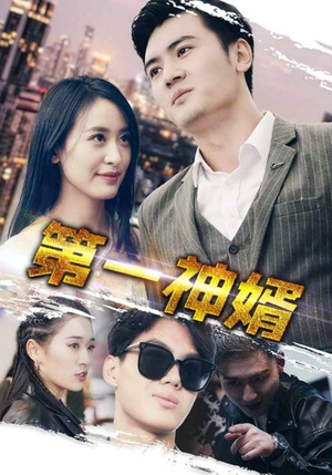 第一神婿(110集) 第一神婿(110集)爆款