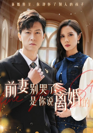 前妻别哭了，是你说离婚的（42集）龙王短剧
