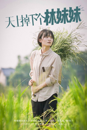 天上掉下个林妹妹(81集) 天上掉下个林妹妹(81集)离线下载