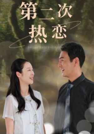 第二次热恋(48集) 第二次热恋(48集)伦理短剧