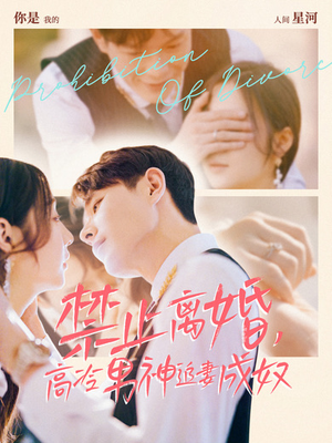 禁止离婚，高冷男神追妻成奴（57集）一集完结