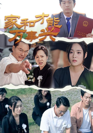 家和才能万事兴(30集) 家和才能万事兴(30集)全集免费看不用下载