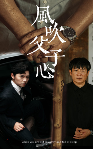 风吹父子心(65集) 风吹父子心(65集)熬夜看到凌晨4点不舍得睡