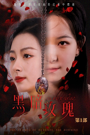 黑暗玫瑰（84集）一集完结