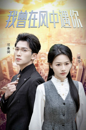 我曾在风中遇你(30集) 我曾在风中遇你(30集)共300集