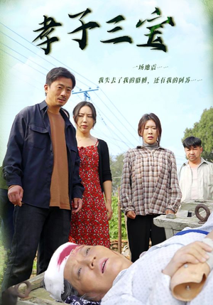 孝子三宝(50集) 孝子三宝(50集)男女主角原版人马