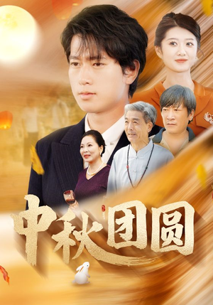 中秋团圆(158集) 中秋团圆(158集)细节控表示每一帧都是线索