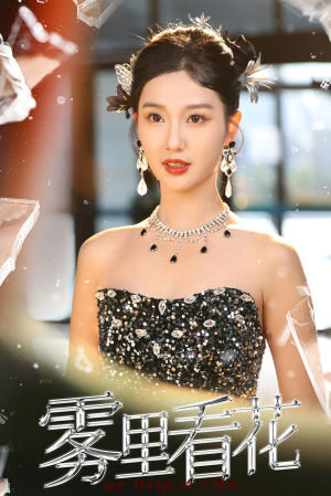 雾里看花(25集) 雾里看花(25集)1080P