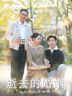 逝去的婚姻(60集) 逝去的婚姻(60集)口碑