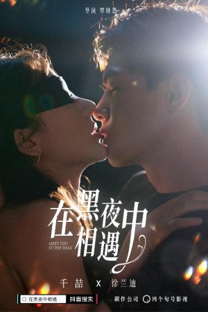 在黑夜中相遇（32集）港风