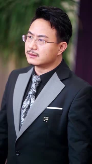 隐龙神婿(81集) 隐龙神婿(81集)真假少爷