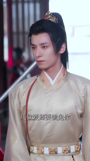 我以长枪饰红妆（69集）双胞胎梗