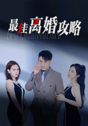 最佳离婚攻略(31集) 最佳离婚攻略(31集)全集免费
